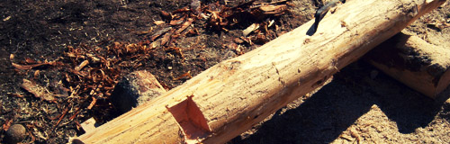 peeled and notched log