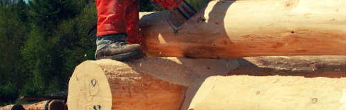 James Notching a log